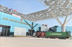 Xuất khẩu tôm hùm bình thường trở lại tại lối mở ở Móng Cái