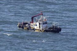 Không phát hiện tritium trong cá sau 1 tháng xả thải từ nhà máy Fukushima