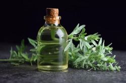 Vì sao phụ nữ mang thai 3 tháng đầu không nên ăn rau ngải cứu?