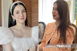 Diệp Lâm Anh: 'Gia đình anh Đức từng đưa ra con số 50 tỷ để lấy quyền nuôi con'