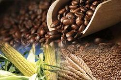 Dòng tiền đầu tư đến thị trường gia tăng, giá hàng hóa giảm mạnh