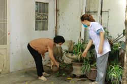 Hà Nội thêm 95 ổ dịch sốt xuất huyết trong 1 tuần