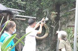 Hà Nội: Sốt xuất huyết tăng đột biến, nhiều bệnh nhân nặng