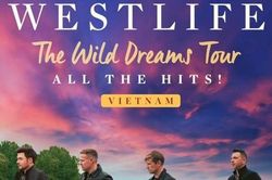 Cuộc chiến săn vé Westlife ngã ngũ: Người mua được từ sớm, người vẫn kiếm 'vé vớt'