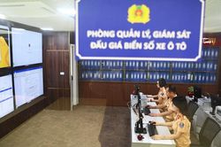 Khi nào cuộc đấu giá biển số ô tô bị buộc phải dừng lại?