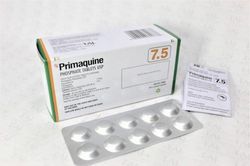 Hiệu quả của sử dụng thuốc chống sốt rét primaquine liều cao