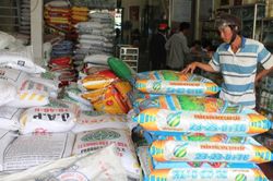 Điểm tin kinh tế - thị trường ngày 26/9/2023: Giá phân bón tăng mạnh; vàng giảm, dầu đi lên