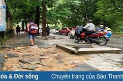Vỉa hè ở khu vực cổng trường Tiểu học Đông Thọ cần sớm được sửa chữa
