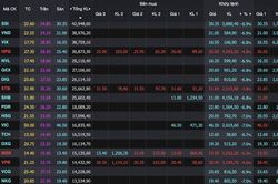 Dragon Capital: NĐT nên bình tĩnh quan sát, rời khỏi thị trường thời điểm này có thể không phải là quyết định tốt