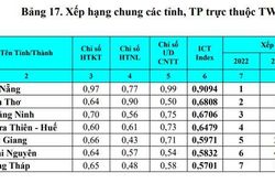 Đà Nẵng tiếp tục dẫn đầu chỉ số Việt Nam ICT Index
