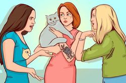 Chỉ ai thông minh mới nhận ra chủ nhân thật sự của con mèo này
