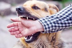Hai trẻ phát bệnh dại nguy kịch, cha mẹ cần biết những điều này để cứu con