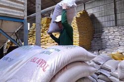 Giá gạo xuất khẩu sẽ sớm tăng trở lại
