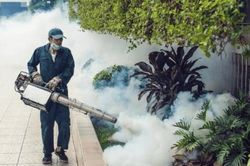 Hà Nội triển khai nhiều biện pháp mạnh khống chế dịch SXH