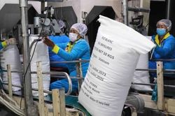 Hiệp định EVFTA, tạo 'xa lộ' cho nông sản Việt thâm nhập thị trường