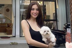Nhà khang trang rộng rãi ở mặt phố của gia đình Hoa hậu Tiểu Vy
