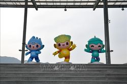 ASIAD 2023: Xạ thủ Trịnh Thu Vinh thi đấu không thành công