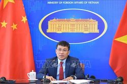 Chuẩn bị tốt cho Phiên họp lần thứ 15 Ủy ban chỉ đạo hợp tác song phương Việt Nam - Trung Quốc