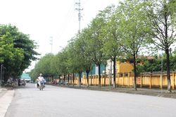 TP. Sông Công: Trồng mới trên 182.000 cây xanh phân tán