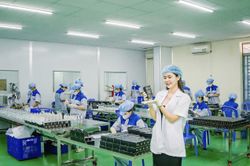 CEO Diệp Phương Linh - Thành công từ chính đam mê cùng sự cố gắng không biết mệt mỏi