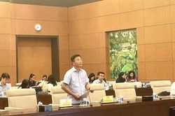 Đặt cọc đấu giá quyền sử dụng đất mức bao nhiêu là vừa?