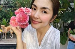 Thành quả từ vườn cây khiến nàng dâu hào môn Tăng Thanh Hà càng thêm được nể phục khi thành 'nông dân' mát tay