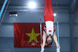 3 tháng sau khi đánh bại nhà vô địch thế giới, VĐV Việt Nam giành tấm huy chương quý giá ở ASIAD 2023