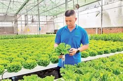 Xây dựng Hội Nông dân vững mạnh, làm chỗ dựa tin cậy của nông dân