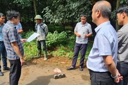Thảm nhựa đường Sông Nhạn - Dầu Giây khi trời mưa: Lấy 3 mẫu bê tông nhựa nóng đi giám định