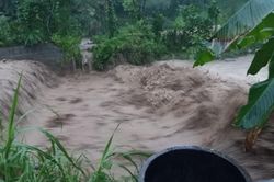 1 người bị lũ cuốn trôi, nhiều diện tích lúa và hoa màu bị hư hại do mưa lớn