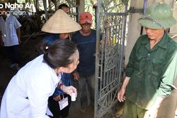 Ngành Y tế chỉ đạo triển khai vệ sinh môi trường, phòng chống dịch bệnh sau mưa lũ