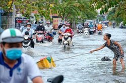 Triều cường ở Cần Thơ dự báo vượt báo động 3 trong những ngày tới