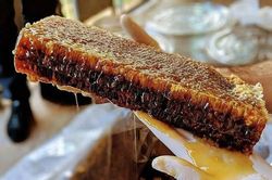 Vì sao 'mật ong của các vị thần' có giá đắt nhất thế giới - 160 triệu đồng/kg?