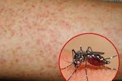 Sốt xuất huyết nguy hiểm đến mức nào?