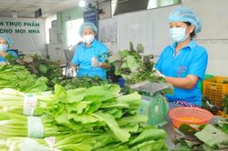 Nhiều điểm sáng trong 'bức tranh' kinh tế TPHCM
