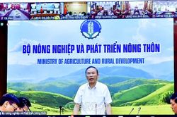 Việt Nam sẵn sàng đón đoàn công tác EC sang kiểm tra về IUU