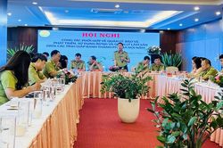 Hà Nội và các tỉnh liên kết quản lý, bảo vệ rừng giáp ranh
