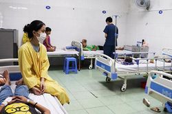 Hà Nội: Triển khai đồng bộ các biện pháp phòng, chống dịch sốt xuất huyết