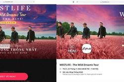 Cảnh giác với thủ đoạn giả mạo website bán vé concert Westlife