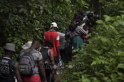 Tăng vọt số lượng người mạo hiểm vượt rừng rậm Darien Gap tìm đến 'miền đất hứa'