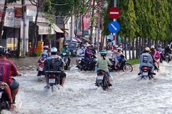 Nước sông Hậu lên báo động 3, Cần Thơ bắt đầu vào mùa triều cường