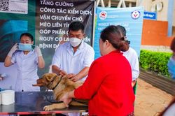 FOUR PAWS hỗ trợ hoạt động tiêm phòng bệnh dại miễn phí