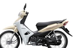 Honda Việt Nam 'chơi lớn' với Wave Alpha và Vision mang phong cách những năm 80