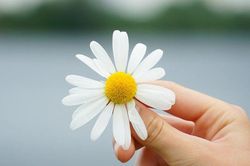 Buông xả để bình an