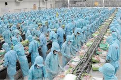 Những thị trường xuất khẩu thủy sản tỷ USD của Việt Nam trong 9 tháng