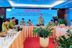 Hà Nội và các tỉnh liên kết quản lý, bảo vệ hiệu quả rừng giáp ranh