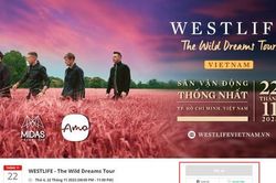 Dấu hiệu nhận biết website giả trang bán vé concert Westlife tại TP.HCM