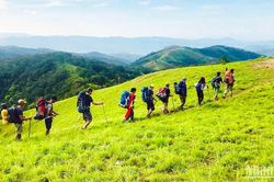Liên kết phát triển du lịch 'biển và hoa' kết nối Lâm Đồng-Bình Thuận