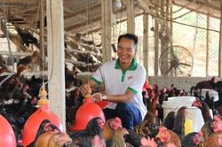 Thu tiền tỷ từ gà lai chọi