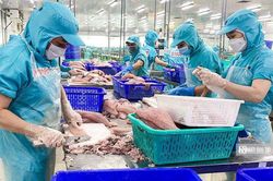 Cá tra tăng trưởng đáng mừng, xuất khẩu thủy sản có dấu hiệu phục hồi